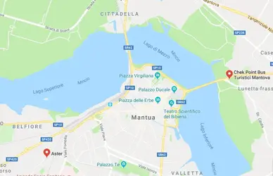 Mantova forse semplifica il rilascio dei pass per i pullman turistici